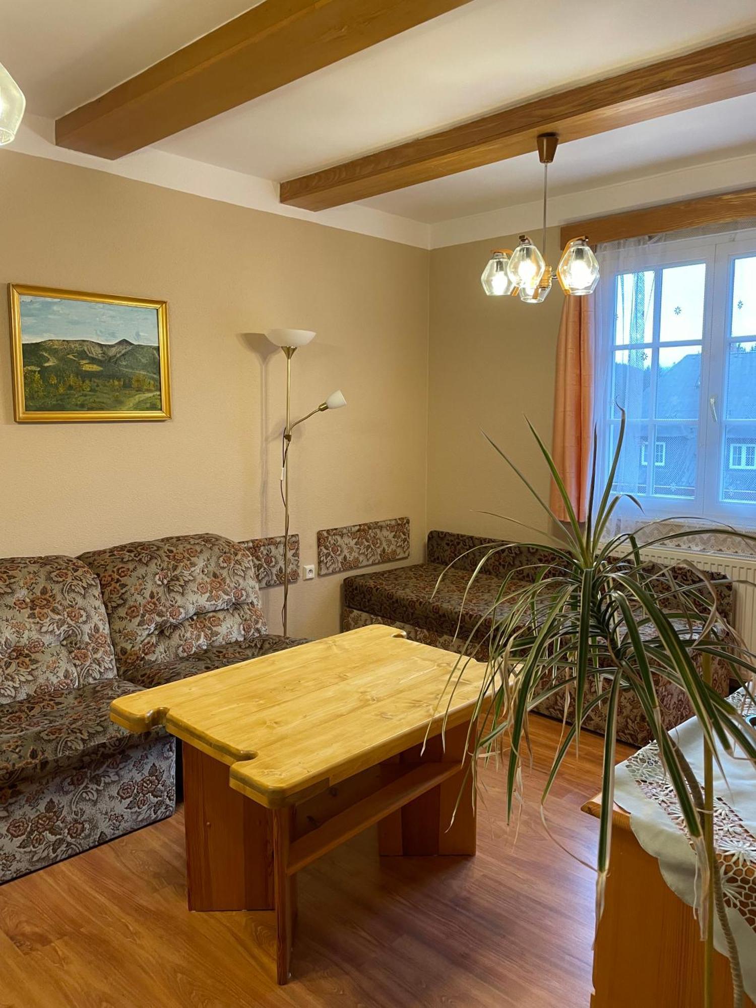 Pension Svycarsky Dum Spindleruv Mlyn Exterior foto