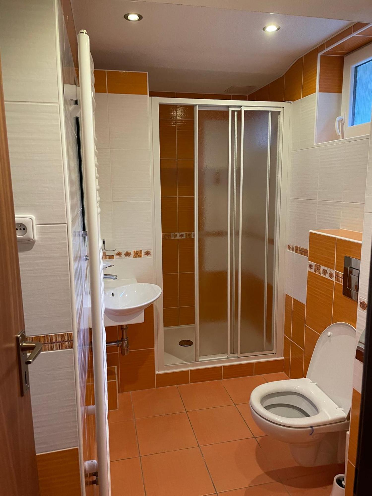 Pension Svycarsky Dum Spindleruv Mlyn Exterior foto
