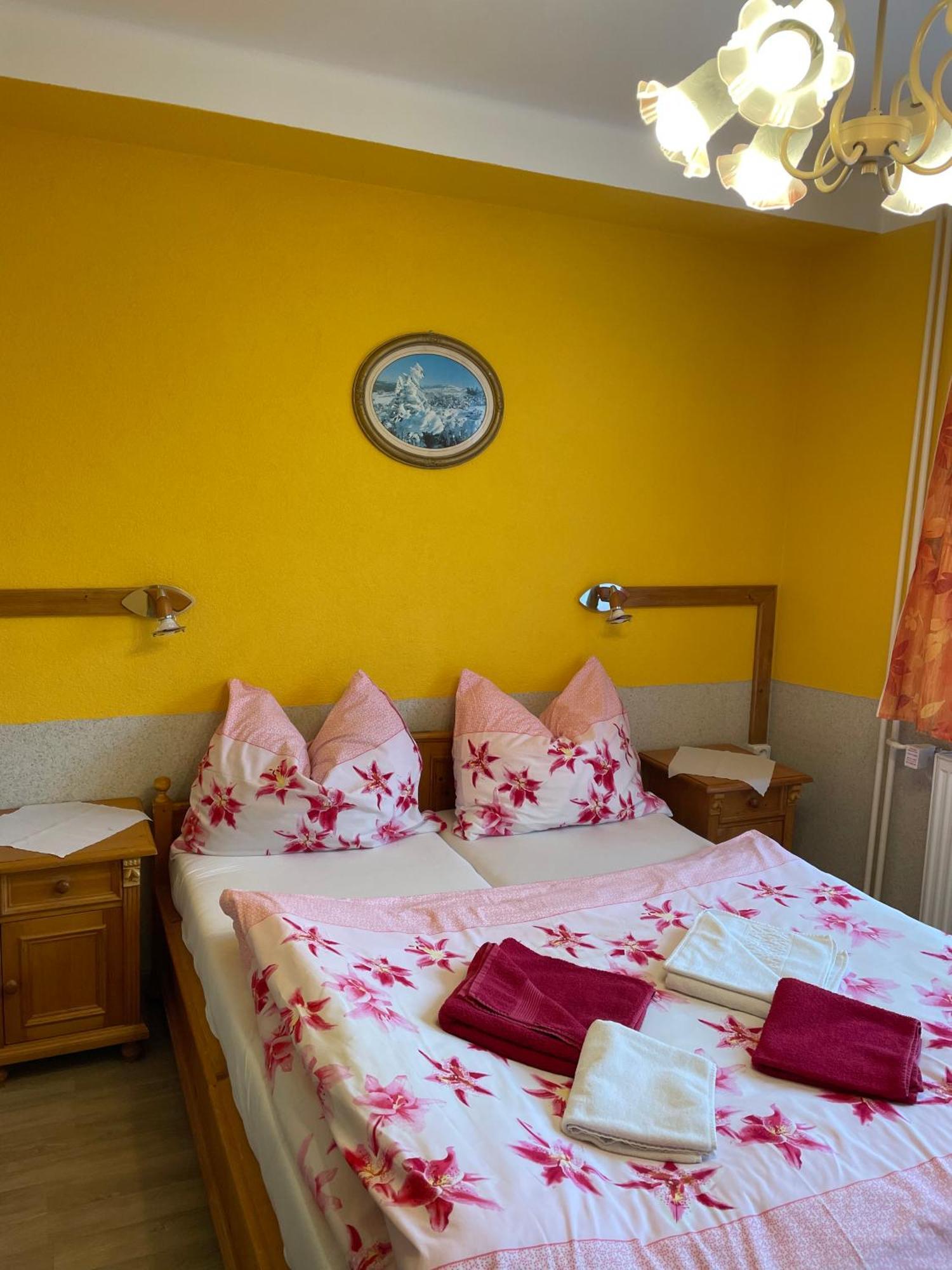 Pension Svycarsky Dum Spindleruv Mlyn Exterior foto